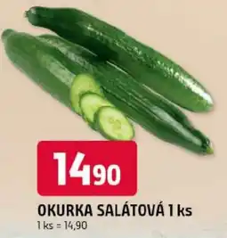 Trefa Okurka salátová nabídka