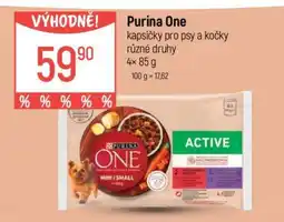 Globus Purina One nabídka