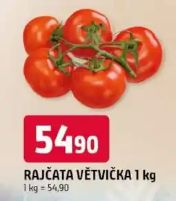 Trefa Rajčata větvička nabídka