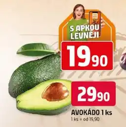 Trefa Avokádo nabídka