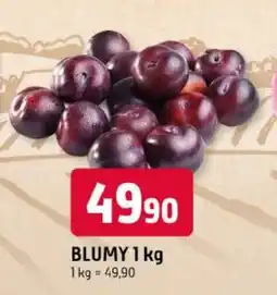Trefa Blumy nabídka