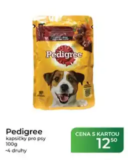 Tamda Foods Pedigree kapsičky pro psy nabídka