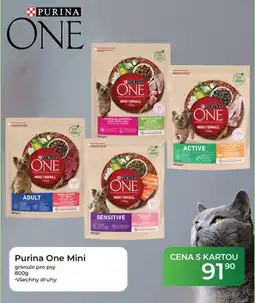 Tamda Foods Purina One Mini nabídka