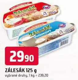 Trefa Zálesák nabídka