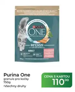 Tamda Foods Purina One granule pro kočky nabídka