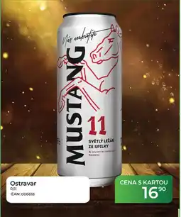 Tamda Foods Mustang 11 světlý ležák ze spilky nabídka