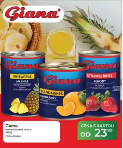 Tamda Foods Giana kompotované ovoce nabídka