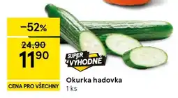 Tesco Okurka hadovka nabídka