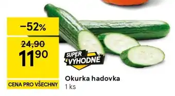 Okurka hadovka