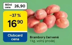 Tesco Brambory červené nabídka