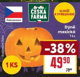 Billa Dýně mexická nabídka