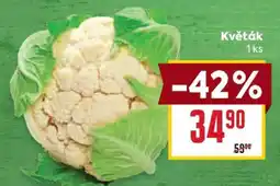 Billa Květák nabídka