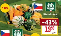 Billa Dýně okrasná nabídka