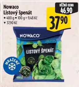 Albert Nowaco Listový špenát nabídka