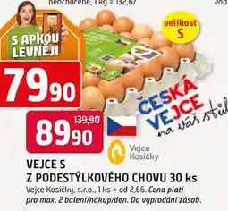 Trefa ČESKÁ VEJCE Z PODESTÝLKOVÉHO CHOVU 30 ks vel.S nabídka