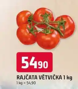 Trefa RAJČATA VĚTVIČKA nabídka