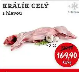 RABBIT řeznictví KRÁLÍK CELÝ s hlavou nabídka