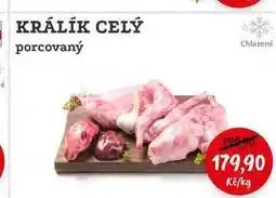 RABBIT řeznictví KRÁLÍK CELÝ porcovaný nabídka