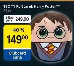 Tesco TSC TY Polštářek Harry Potter, 22 cm nabídka