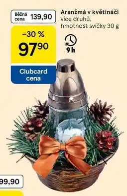 Tesco Aranžmá v květináči více druhů, hmotnost svíčky nabídka