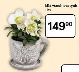 Tesco Mix všech svatých, 1 ks nabídka