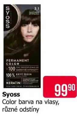 Teta Syoss Color barva na vlasy nabídka
