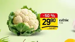 Flop květák nabídka