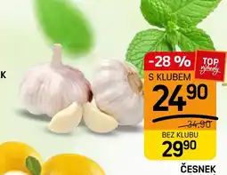 Flop Česnek nabídka