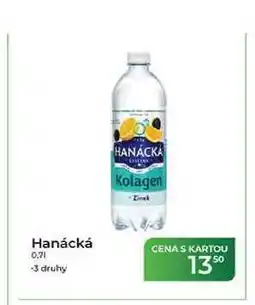 Tamda Foods Hanácká 0,71 nabídka