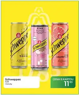 Tamda Foods Schweppes 0,331 nabídka
