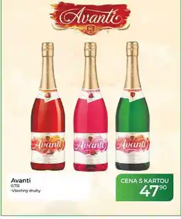 Tamda Foods Avanti 0,751 nabídka