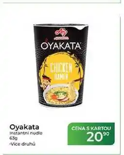 Tamda Foods Oyakata Instantní nudle nabídka