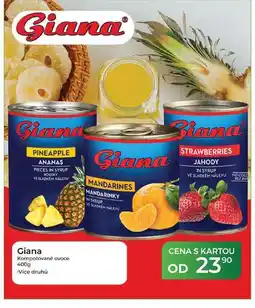 Tamda Foods Giana Kompotované ovoce nabídka