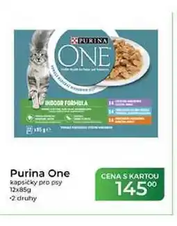 Tamda Foods Purina One kapsičky pro psy nabídka