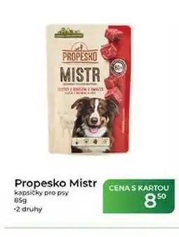 Tamda Foods Propesko Mistr kapsičky pro psy nabídka