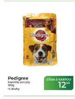 Tamda Foods Pedigree kapsičky pro psy nabídka