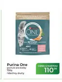 Tamda Foods Purina One granule pro kočky nabídka