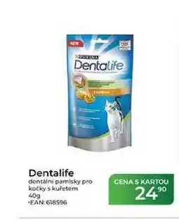 Tamda Foods Dentalife dentální pamlsky pro kočky s kuřetem nabídka