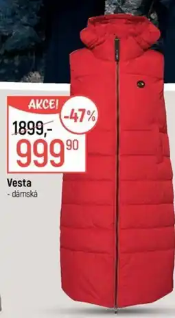Globus Vesta nabídka