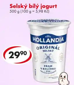 CBA Hollandia selský bílý jogurt nabídka