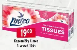 Qanto Kapesníčky Linteo nabídka