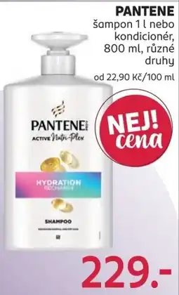 Rossmann Pantene šampon nebo kondicionér nabídka