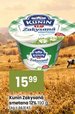 TEMPO Kunín Zakysaná smetana 12% nabídka