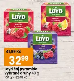 TEMPO Loyd čaj pyramida nabídka