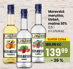 TEMPO R. Jelínek moravská meruňka, třešeň, malina nabídka