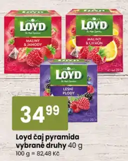 TEMPO Loyd čaj pyramida nabídka