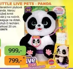 Dráčik Little Live Pets - Panda nabídka