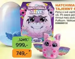 Dráčik Hatchimals Alive nabídka
