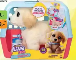 Dráčik Little Live Pets nabídka