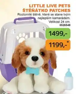 Dráčik Little Live Pets štěnátko patches nabídka